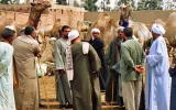 كيف ينعكس ارتفاع الأسعار العالمية على الأسر في مصر؟