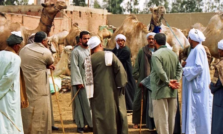 كيف ينعكس ارتفاع الأسعار العالمية على الأسر في مصر؟