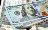 سعر الدولار في مصر يقفز فوق 49 جنيهاً.. ماذا وراء الصعود؟