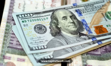سعر الدولار في مصر يقفز فوق 49 جنيهاً.. ماذا وراء الصعود؟