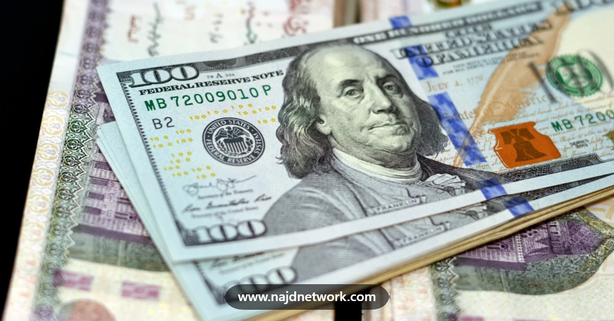 سعر الدولار في مصر يقفز فوق 49 جنيهاً.. ماذا وراء الصعود؟