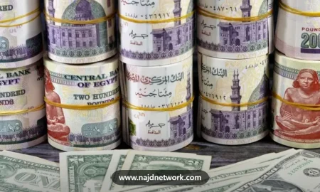 سعر الدولار اليوم في مصر.. استمرار التقلبات في أسواق الصرف