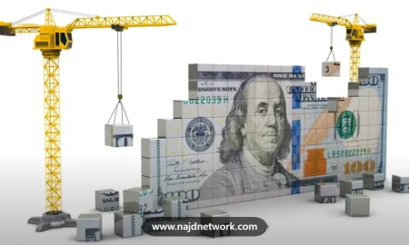 نصائح لو روتش المالية: استثمارات تستحق ودروس من تجربة الثراء