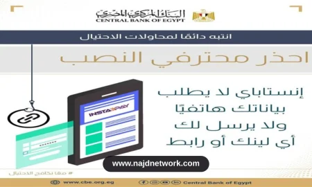 البنك المركزي يحذر من حيلة احتيالية تستهدف مستخدمي تطبيق إنستا باي