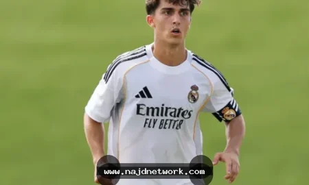 انتقال مانويل أنخيل إلى فولهام