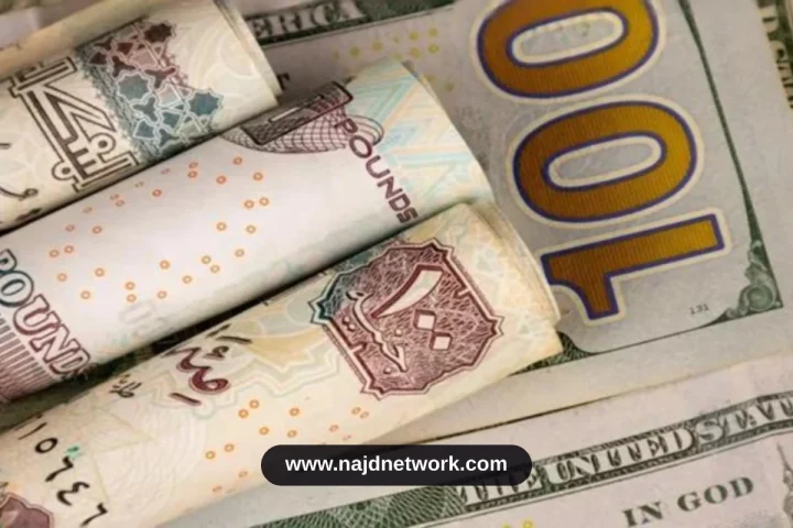 سعر الدولار اليوم في البنوك المصرية يسجل تراجعاً جماعياً بختام التعاملات