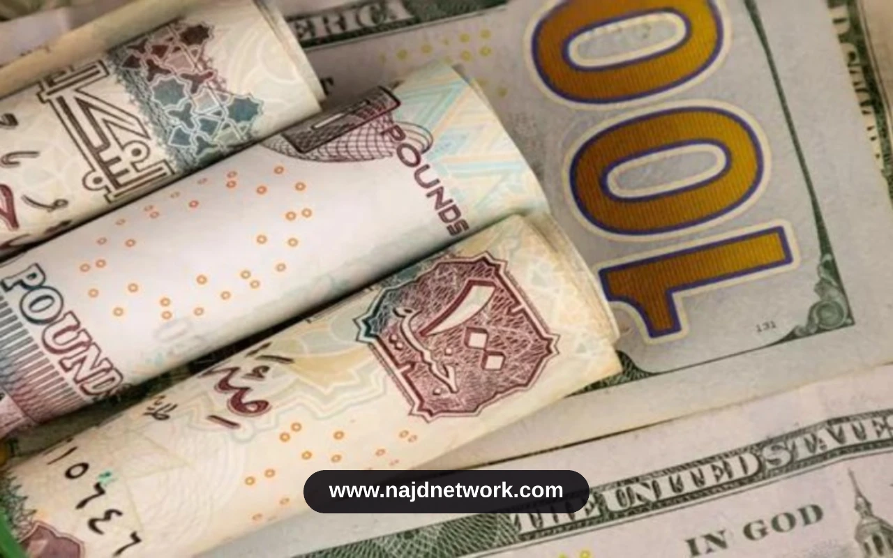 سعر الدولار اليوم في البنوك المصرية يسجل تراجعاً جماعياً بختام التعاملات