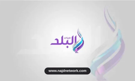 عطل تقني يضرب جوجل وجيمناي ومنصات الذكاء الاصطناعي عالمياً