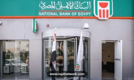 مزايا شهادة الادخار البلاتينية من البنك الأهلي المصري 2026