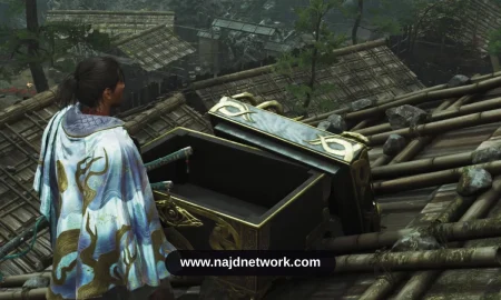 مواقع الكنوز الخفية في لعبة Onimusha: Way of the Sword