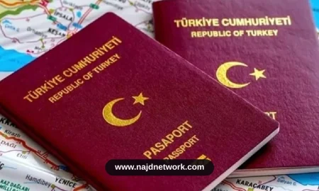 نظام جديد لتسهيل سفر حاملي جواز السفر التركي
