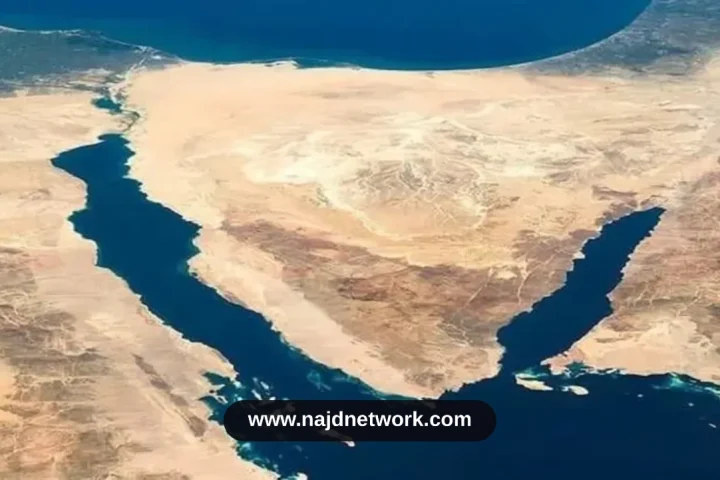 مسودة تلقائية