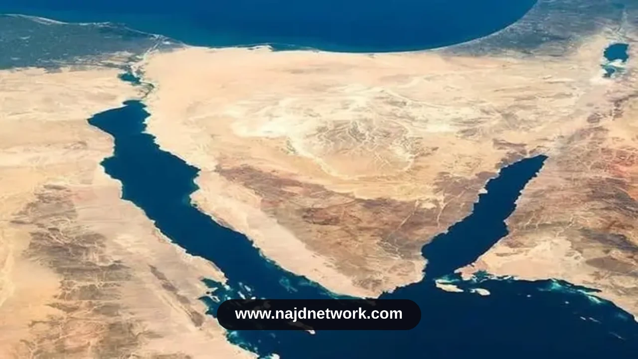 مسودة تلقائية
