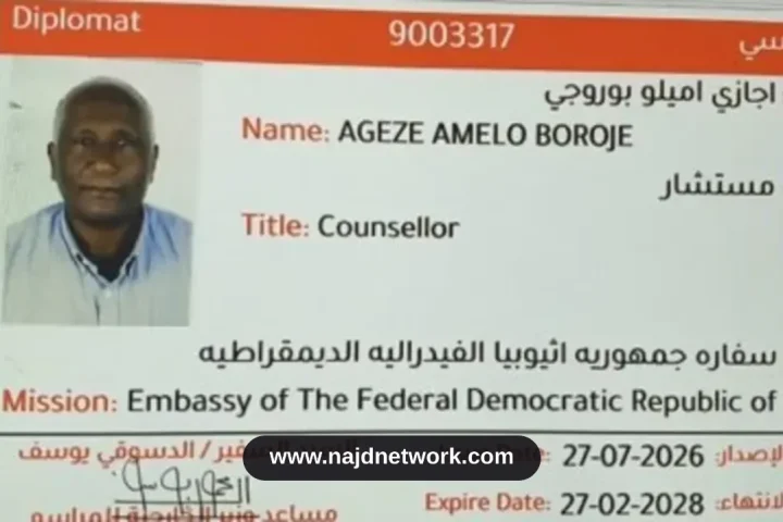 مسودة تلقائية